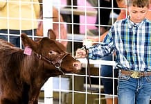 2026 Darke Co. Livestock Celebration and Sale