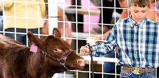 2026 Darke Co. Livestock Celebration and Sale