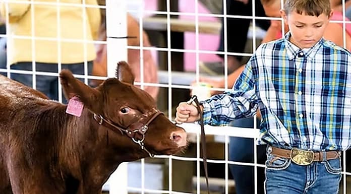 2026 Darke Co. Livestock Celebration and Sale