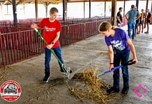 Sheep and Lamb Club members pitch in to prepare for Great Darke County Fair
