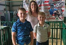 My County Link @ the fair – Showing Swine