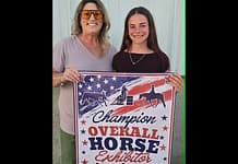 My County Link @ the fair – Showing Horses