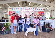 2026 Darke County Fair Celebration of Achievement Highlights
