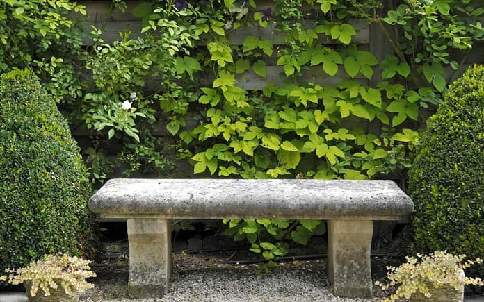 bench