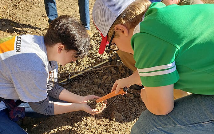 dig