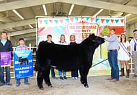 Join the Jr Fair for the 2nd Annual Celebration of Achievement