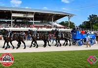 Great Darke County Fair Celebrates Armed Forces Day