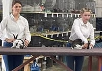2026 Darke Co Jr Fair Scholarships