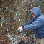 2022 White Christmas Lighting Contest announced