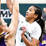 Basketball Roundup