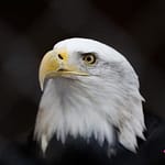 Nature Center at Hueston Woods calendar of events