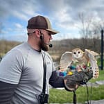Preble County Historical Society hosting third annual Falcon Show