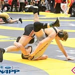 Versailles Boys Wrestlers Compete at State Meet