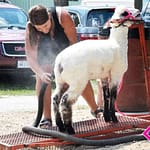 Darke County Fairboard talks, capital funds, Jr. Fair, more