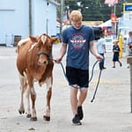 Darke County Jr. Fairboard talks Heart of Darke Livestock show, barn tours