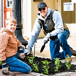 Main Street Greenville sells out Adopt-A-Box Program, holds successful Planting Day