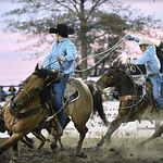 Darke County Summer Stampede Rodeo & Food Truck Rally