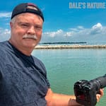 Dale’s Nature Views