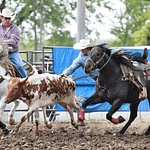 Darke County Spring Stampede Rodeo at fairgrounds tomorrow!