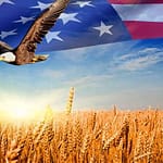 Celebrating July 4th and Nature: A Symbiotic Relationship!