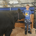 Brayden Widener and his Cows