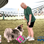 Greenville Area Dog Club shows at Fair