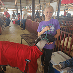 Lucy Schweiterman and her Sheep