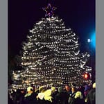 Downtown Greenville Christmas tree shines bright