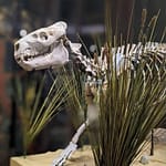 Museum Tour in ’24 – Boonshoft Museum of Discovery