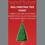 West Milton real Christmas Tree pickup