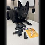 Darke County K9 assists in gun, drug arrest