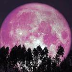 Strawberry Moon to hit peak tonight