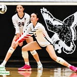Lady Hawks volleyball downs Dixie