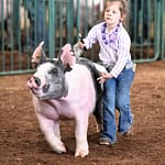 Celebration of Achievement today at The Great Darke County Fair