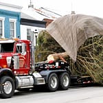 Downtown Christmas Tree dedicated to Kirby Lyons