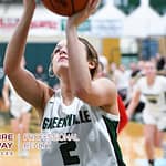 Stebbins earns MVL win over Lady Wave
