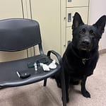 Local man jailed on drug charges following overnight foot pursuit