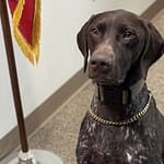 Eaton PD welcomes new K9