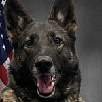 Eaton Police K9 retires after 5 years of service