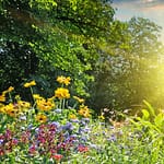 Hey spring… we’re eagerly awaiting your arrival