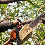 AES Ohio will be tree trimming in Troy