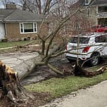 Wind, rain cause havoc for some local residents