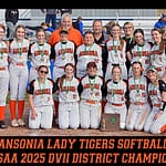 Ansonia Lady Tigers OHSAA DVII Southwest District Champions