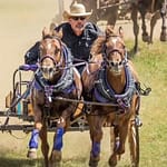 Chuckwagon Racing added to Greenville Farm Power of the Past schedule