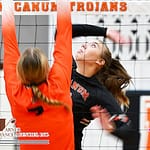 Arcanum downs Ansonia in five