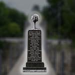 Greenville announces Tree Replanting Plan to restore city park