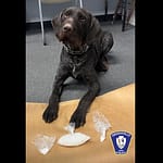 K9 Atz assists GPD in meth arrest