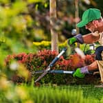 Beautification Award Winners Announced – May