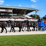 Great Darke County Fair Celebrates Armed Forces Day