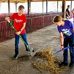 Sheep and Lamb Club members pitch in to prepare for Great Darke County Fair